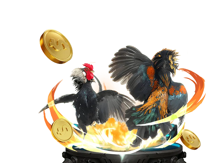 Đá Gà Thomo KM88 Win